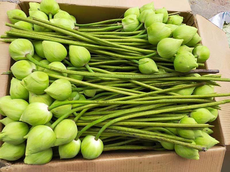 Sen quan &acirc;m đi m&aacute;y bay ra H&agrave; Nội, đổ mối vạn b&ocirc;ng vẫn kh&ocirc;ng đủ b&aacute;n - Ảnh 4.