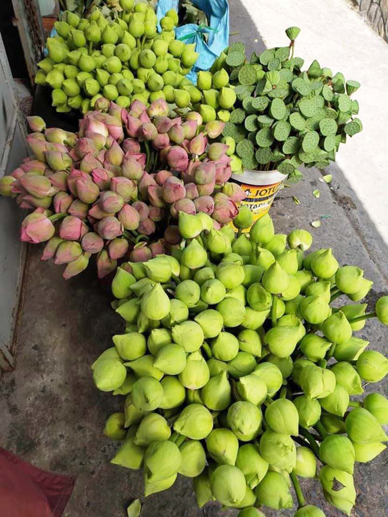 Sen quan &acirc;m đi m&aacute;y bay ra H&agrave; Nội, đổ mối vạn b&ocirc;ng vẫn kh&ocirc;ng đủ b&aacute;n - Ảnh 5.