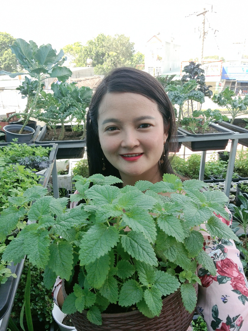 Vườn rau s&acirc;n thượng c&oacute; nhiều giống lạ - Ảnh 7.