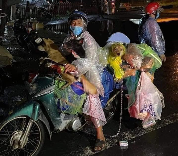 15 con ch&oacute; bị ti&ecirc;u hủy v&igrave; chủ mắc Covid-19: Chuy&ecirc;n gia n&oacute;i g&igrave;? - Ảnh 1.
