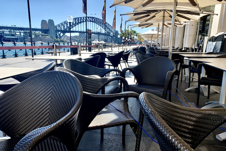 Cận cảnh Sydney vui như hội sau 100 ng&agrave;y vật v&atilde; - Ảnh 9.