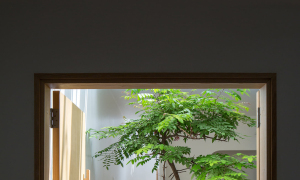 Nh&agrave; ống đầy &aacute;nh s&aacute;ng trong ng&otilde; nhỏ - Ảnh 12.