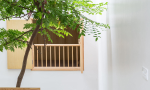 Nh&agrave; ống đầy &aacute;nh s&aacute;ng trong ng&otilde; nhỏ - Ảnh 6.