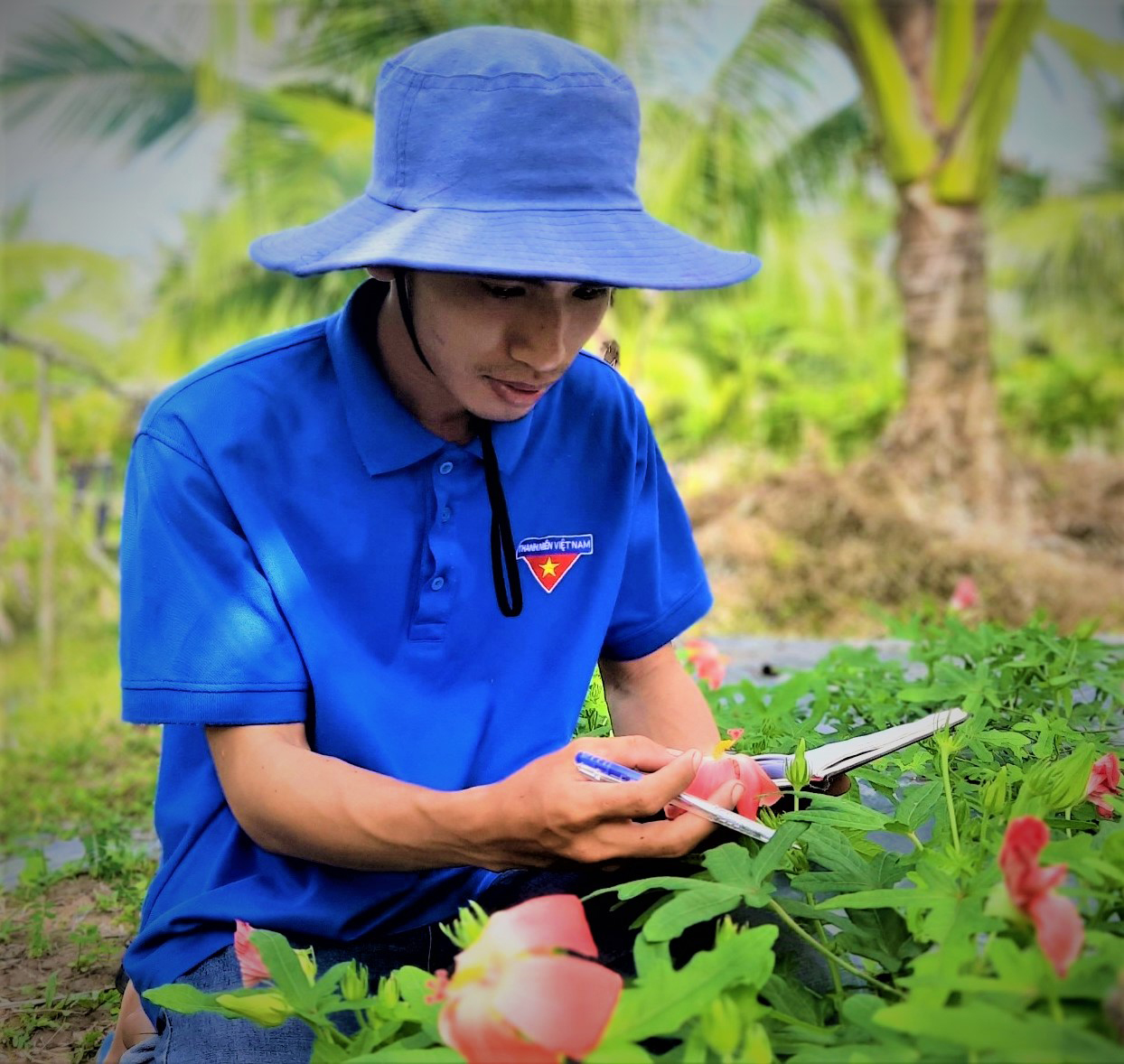 Nghề tư vấn kỹ thuật n&ocirc;ng nghiệp c&ocirc;ng nghệ cao - Ảnh 1.