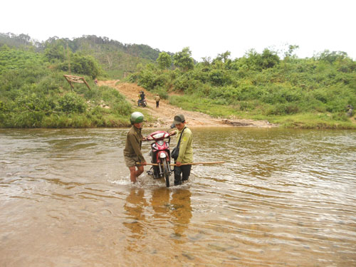 Trọn vẹn với rừng - Ảnh 2.