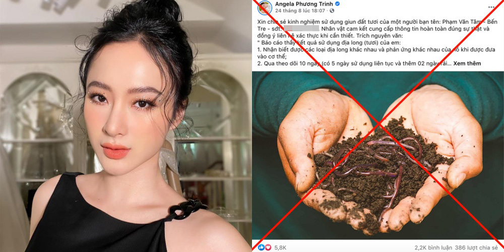 Angela Phương Trinh bị phạt v&igrave; tung tin sai sự thật - Ảnh 1.