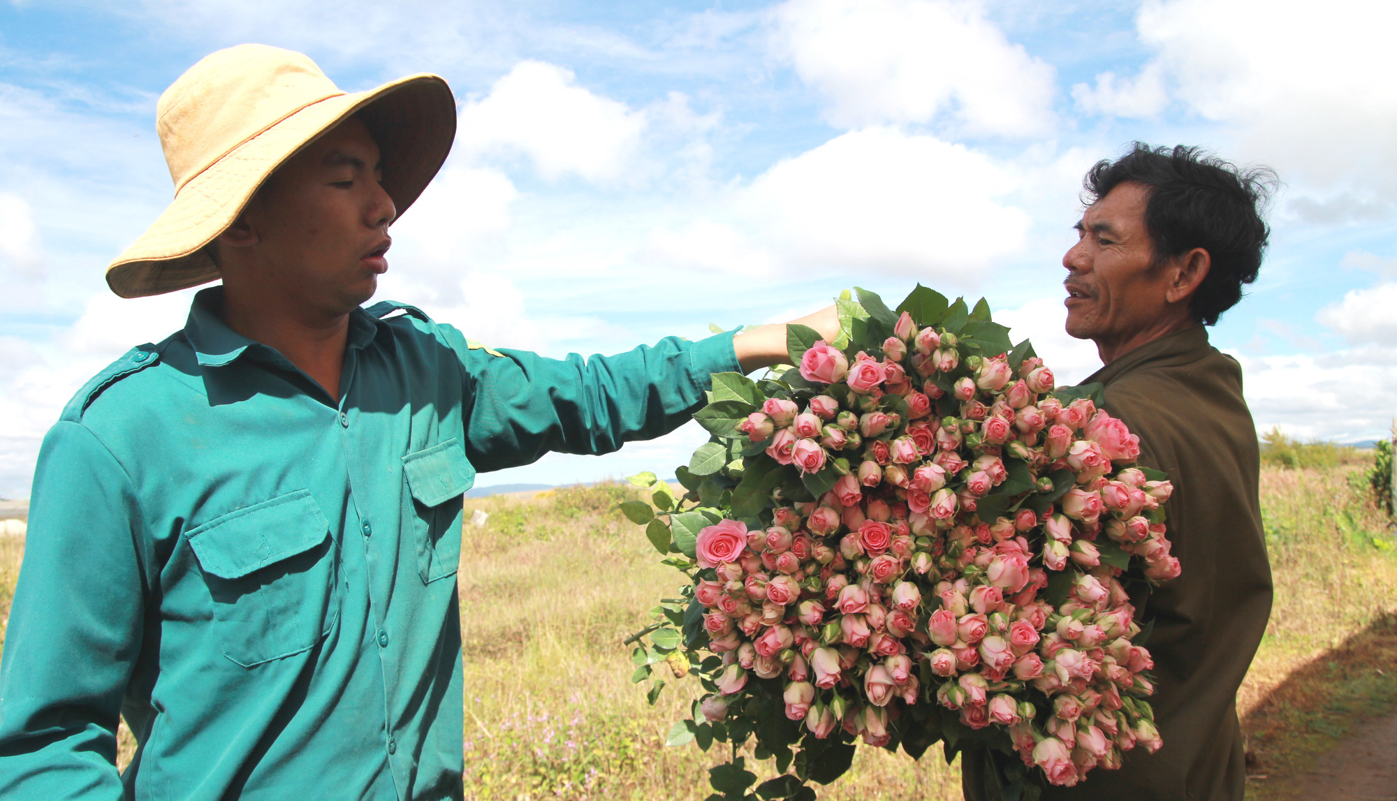 Hoa Đà Lạt tăng giá cao dịp 20-10