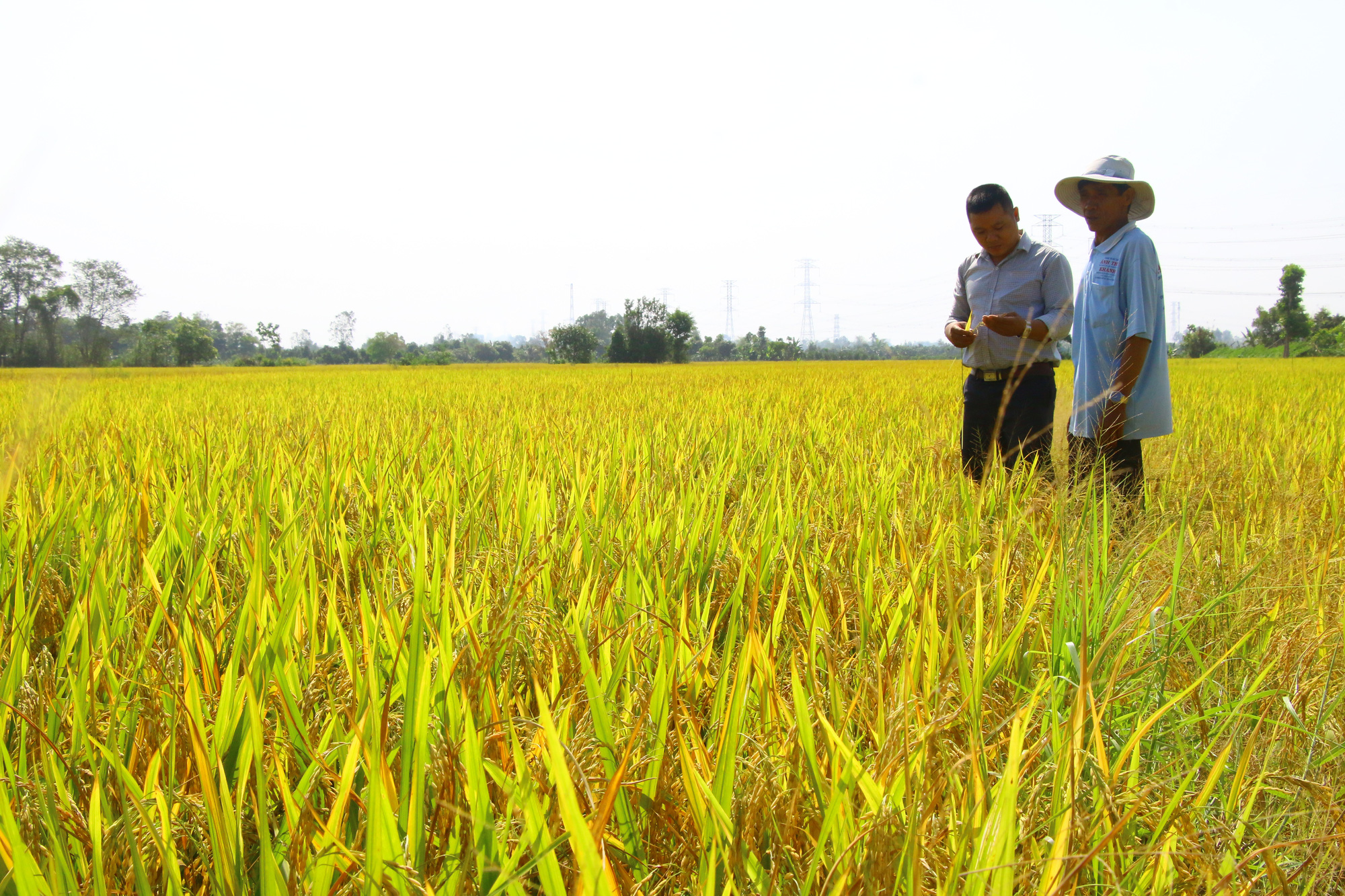 Bộ trưởng L&ecirc; Minh Hoan: &ldquo;Ch&uacute;ng ta quan t&acirc;m đến đại b&agrave;ng nhưng đừng qu&ecirc;n chim sẻ! - Ảnh 3.