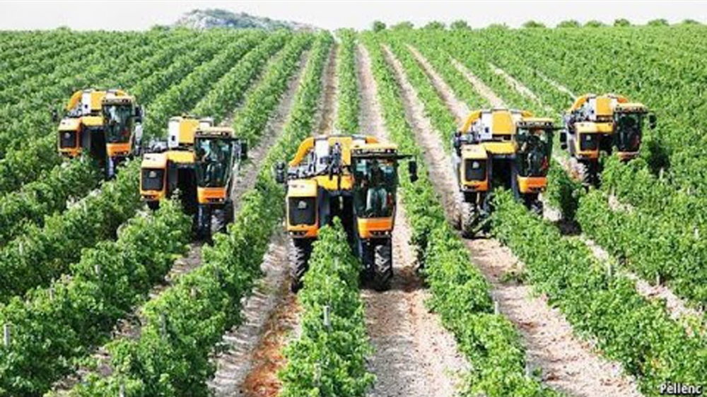 Cần quan tâm đến sự phát triển của HTX