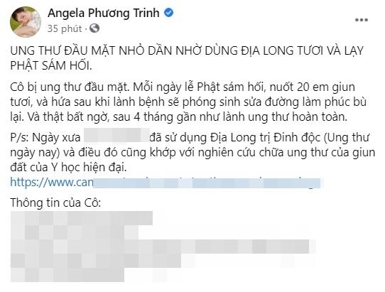 Vừa bị phạt 7,5 triệu đồng, Angela Phương Trinh tiếp tục... quảng b&aacute; giun đất! - Ảnh 2.
