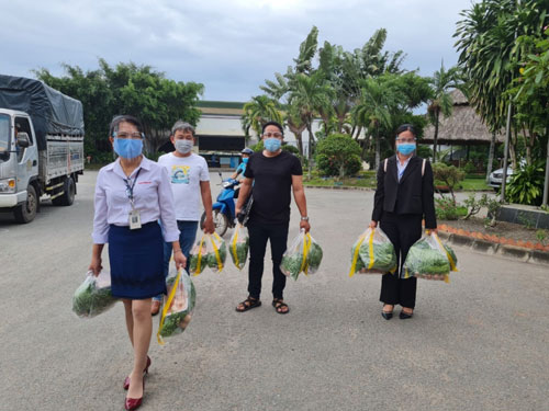 Những đóa hồng tình nguyện