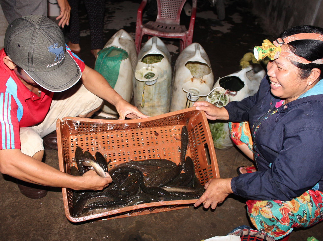 Chủ động cho mùa khô - Ảnh 2.