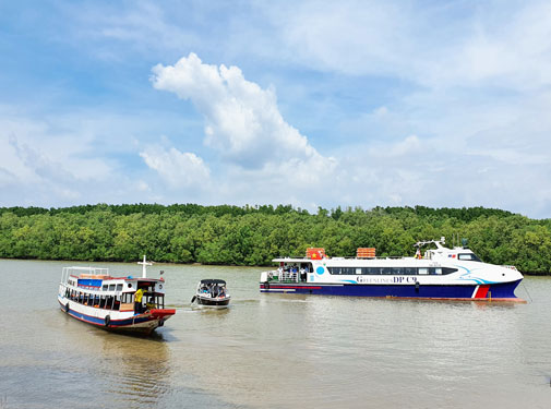 Sức hút của chợ đêm Cần Giờ