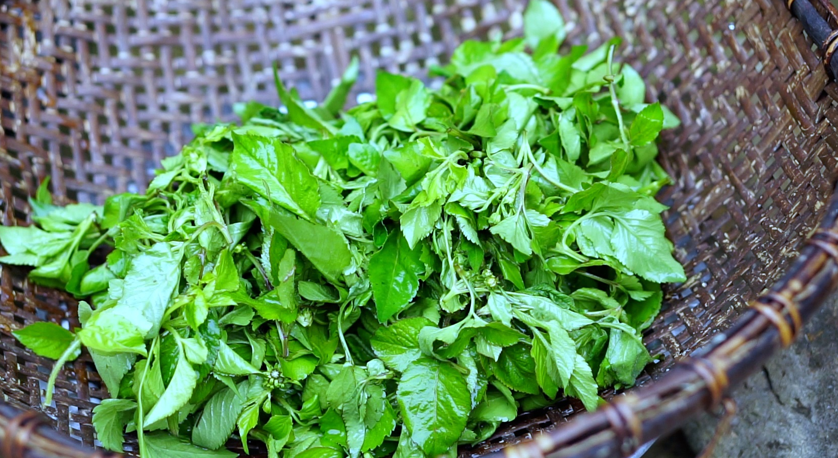 Tr&agrave; hoa xuyến chi lạ m&agrave; quen! - Ảnh 5.