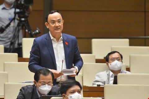 Đại biểu Quốc hội lo lắng t&igrave;nh trạng hưởng bảo hiểm x&atilde; hội một lần tăng cao - Ảnh 1.