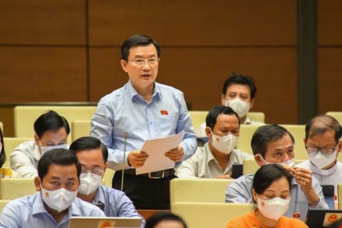 Cần đặt cơ chế đặc thù trong tổng thể vùng
