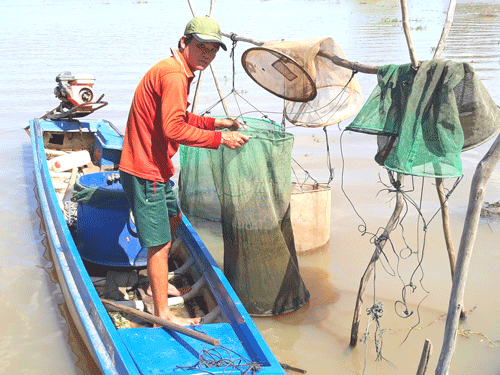 Bấp b&ecirc;nh m&ugrave;a lũ k&eacute;m - Ảnh 1.