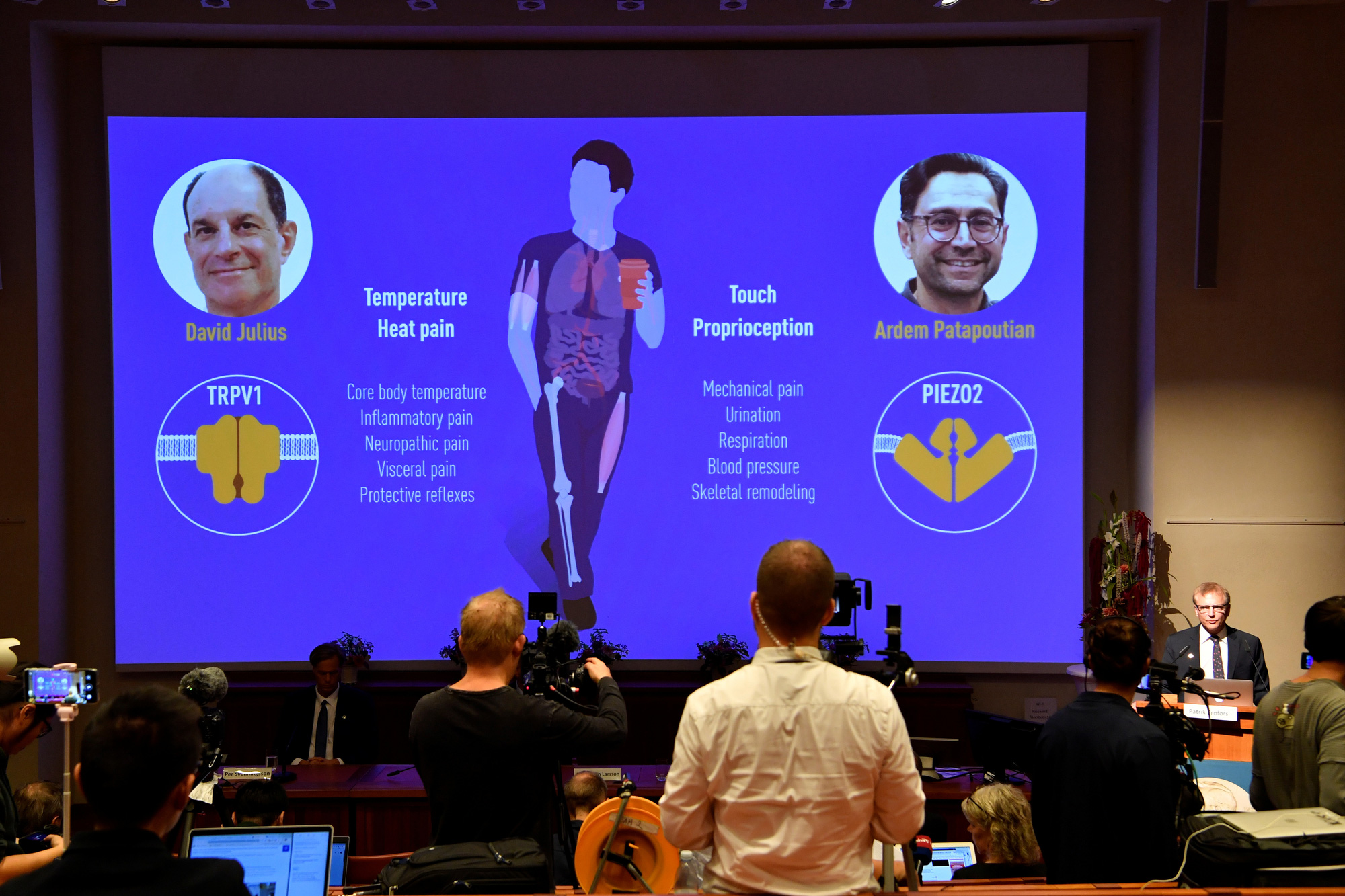 Bất ngờ với Nobel Y học 2021