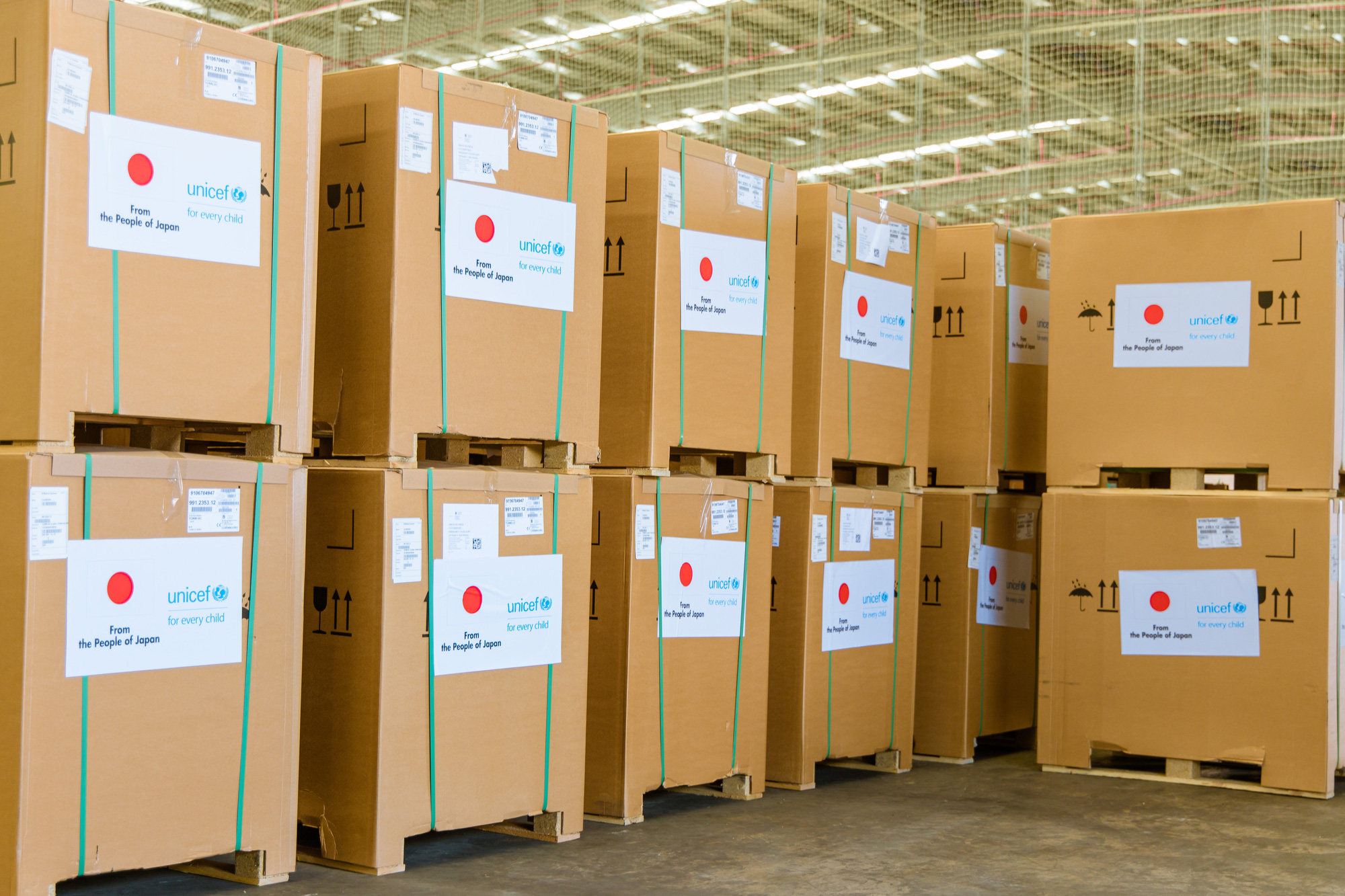 300 tủ lạnh bảo quản vắc-xin do Nhật Bản - UNICEF hỗ trợ đến Việt Nam - Ảnh 5.