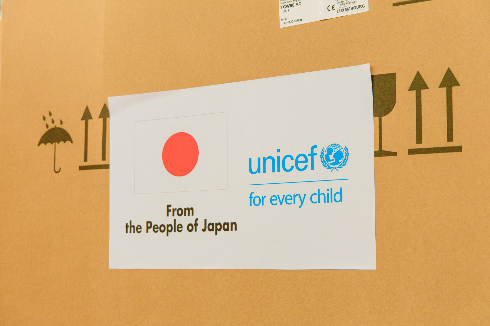 300 tủ lạnh bảo quản vắc-xin do Nhật Bản - UNICEF hỗ trợ đến Việt Nam - Ảnh 6.