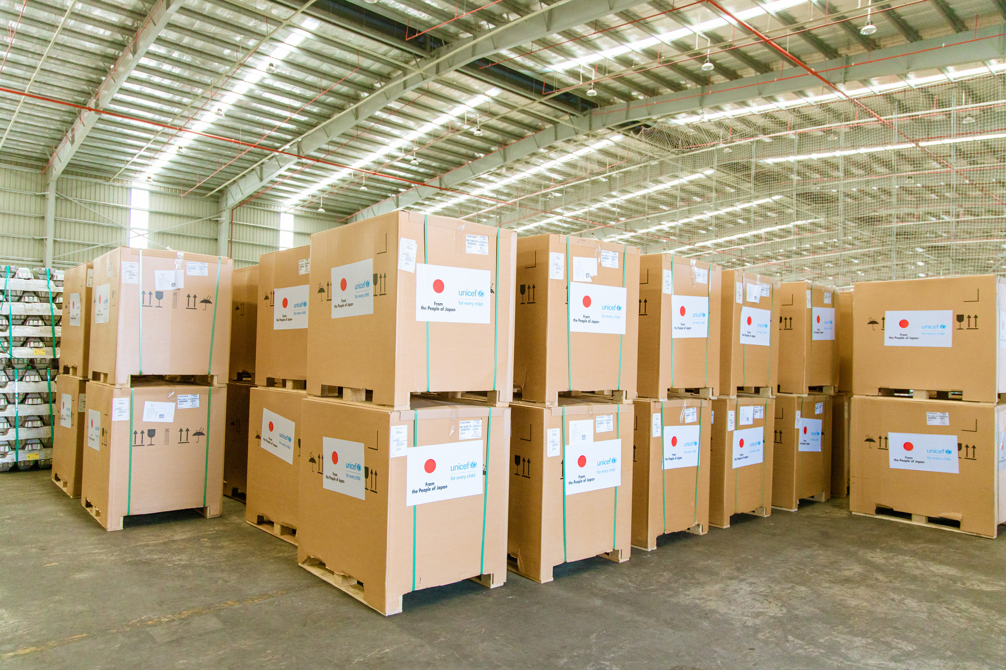 300 tủ lạnh bảo quản vắc-xin do Nhật Bản - UNICEF hỗ trợ đến Việt Nam - Ảnh 7.