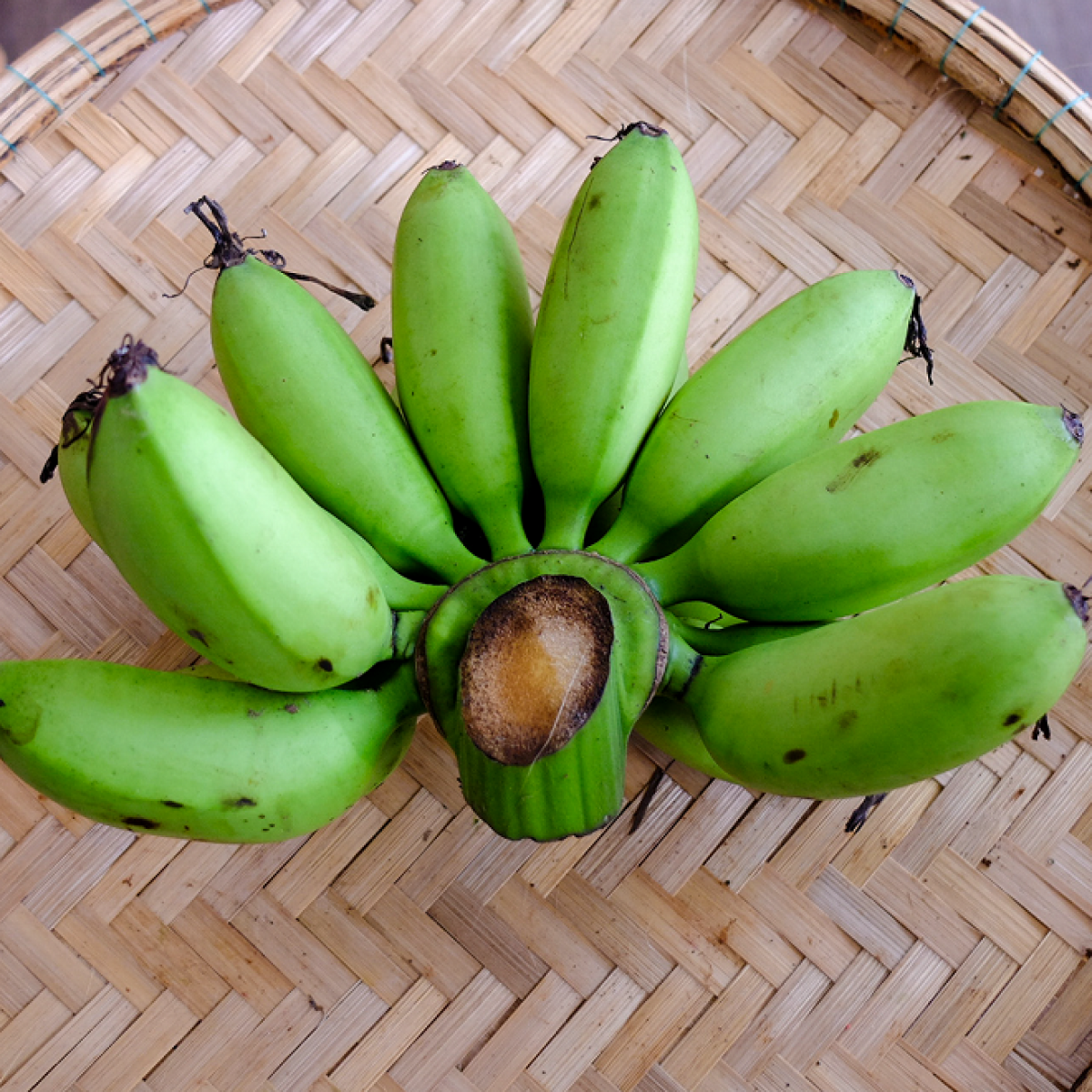 10 thực phẩm v&agrave;ng gi&uacute;p bạn ph&ograve;ng tr&aacute;nh đột quỵ - Ảnh 6.