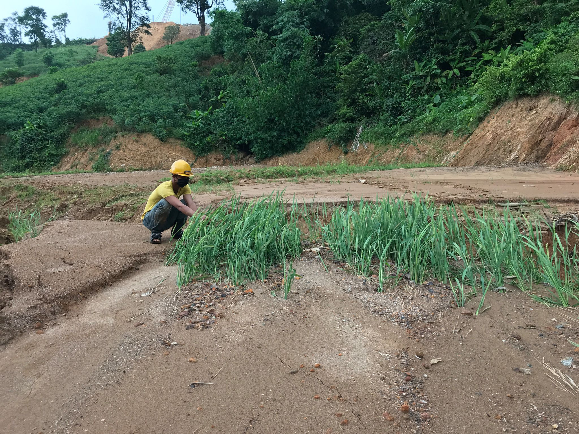 Người d&acirc;n trắng tay v&igrave; ruộng l&uacute;a bị đất đ&aacute; từ b&atilde;i thải điện gi&oacute; v&ugrave;i lấp - Ảnh 2.