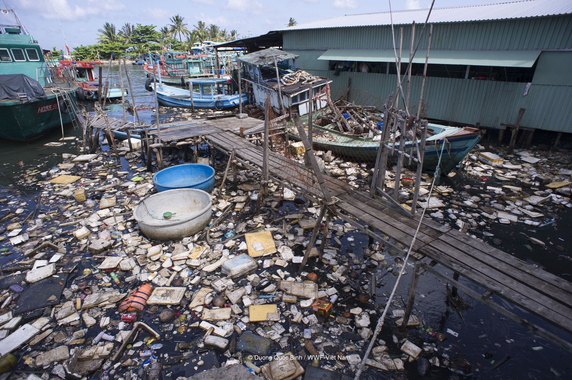 WWF - Việt Nam kêu gọi nâng cao trách nhiệm đối với việc giảm thiểu rác thải nhựa
