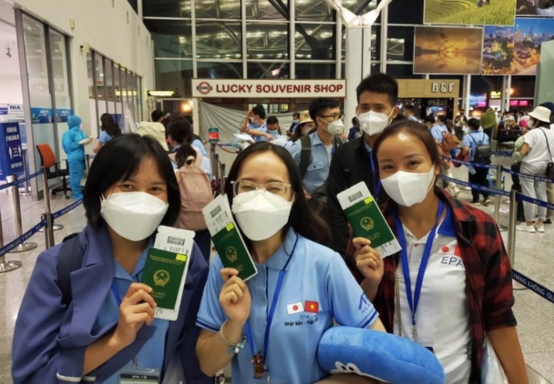 Tuyển 240 điều dưỡng, hộ lý sang Nhật Bản làm việc