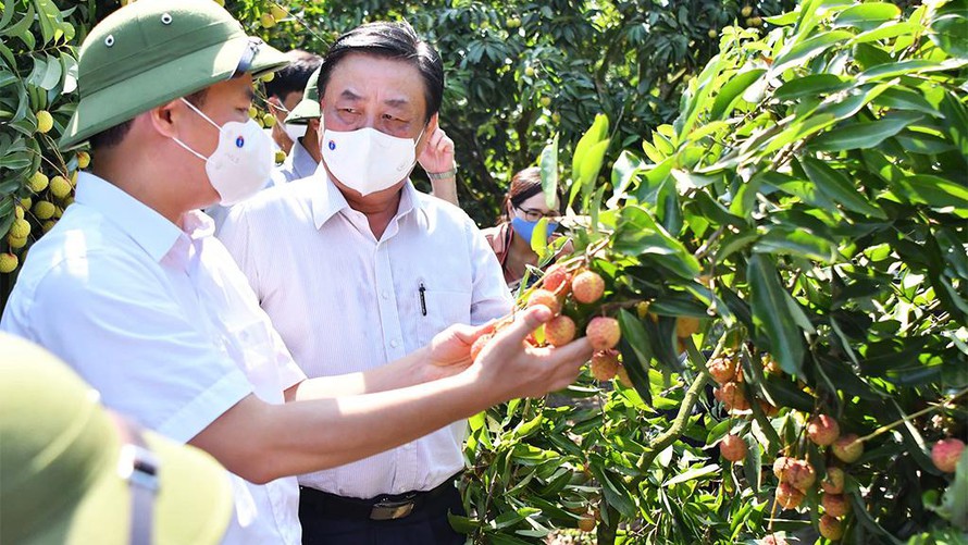 Bộ trưởng L&ecirc; Minh Hoan: Ng&agrave;nh n&ocirc;ng nghiệp tiếp tục l&agrave; trụ đỡ của nền kinh tế - Ảnh 2.