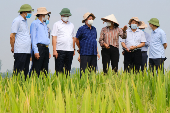 Bộ trưởng L&ecirc; Minh Hoan: Ng&agrave;nh n&ocirc;ng nghiệp tiếp tục l&agrave; trụ đỡ của nền kinh tế - Ảnh 4.