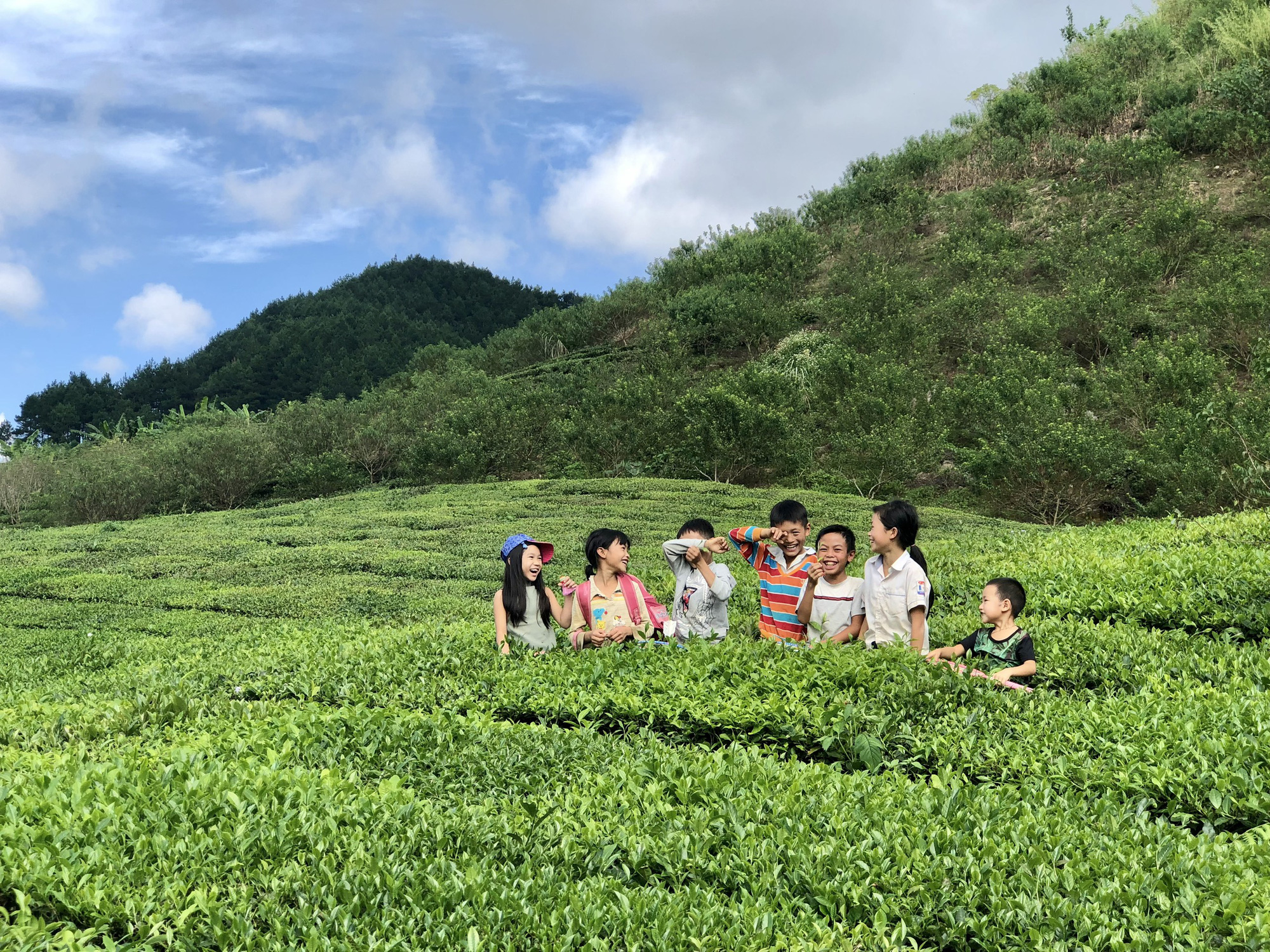 Xây nhà sống giữa vườn mận vì mắc kẹt ở Mộc Châu - Ảnh 5.