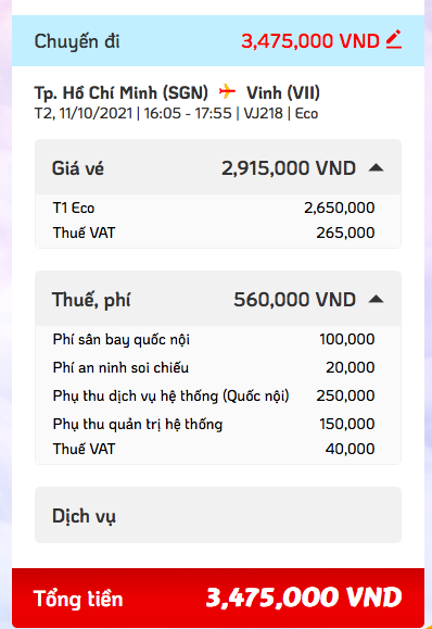 TP HCM: Giá vé máy bay cao, nhiều người vẫn phải mua để về quê - Ảnh 2.