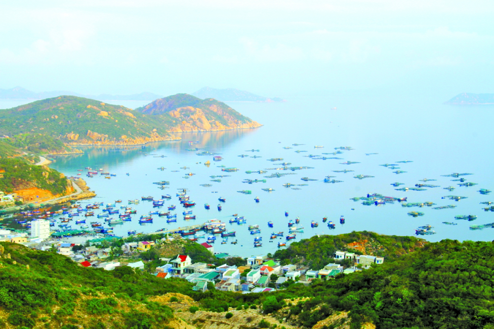 Rong chơi trên đảo tôm hùm - Ảnh 1.