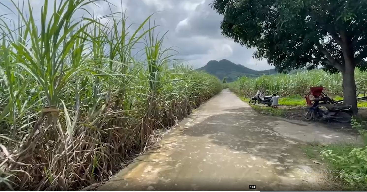 Nhìn đúng thực trạng