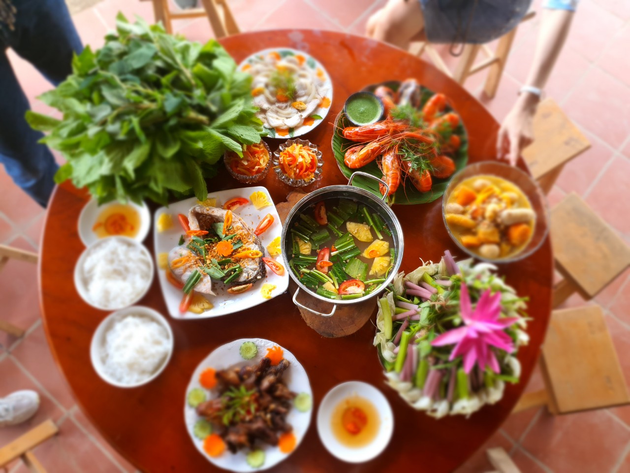 Đo&agrave;n kh&aacute;ch du lịch TP HCM đầu ti&ecirc;n đến Bến Tre sau chương tr&igrave;nh kết nối - Ảnh 4.