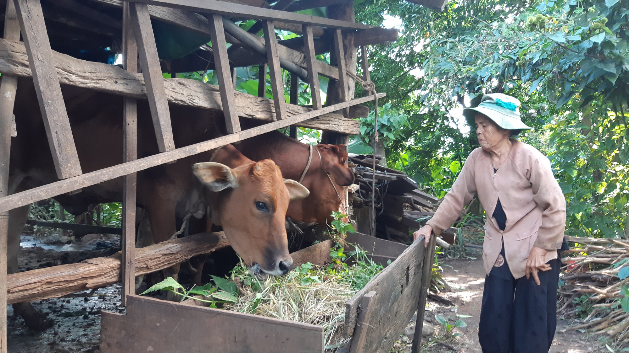 Vươn l&ecirc;n nhờ Quỹ Đảng vi&ecirc;n tiết kiệm - Ảnh 1.