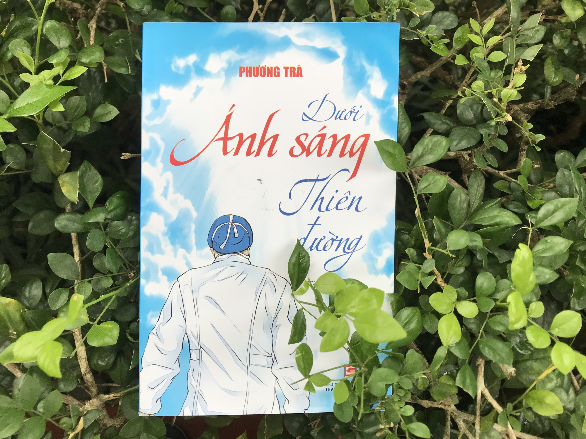 "Dưới ánh sáng thiên đường" thấy vẻ đẹp nhân văn