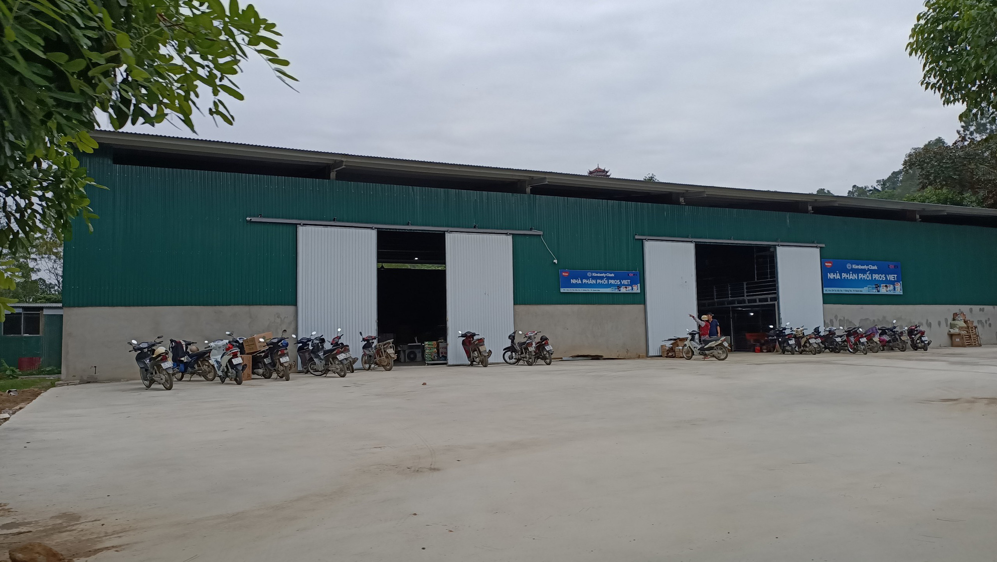 Chủ tịch phường xẻ thịt 1.000 m2 đất trồng c&acirc;y cho thu&ecirc; tr&aacute;i thẩm quyền - Ảnh 2.