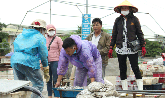 TIẾP SỨC NGƯ DÂN VƯỢT KHÓ, BÁM BIỂN (*): Đưa ngư dân vào chuỗi cung ứng - Ảnh 1.