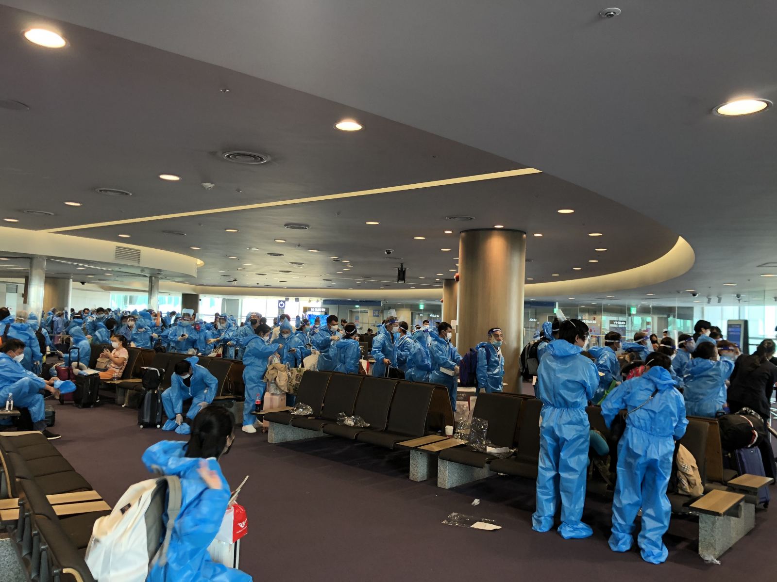 Bay thẳng từ Úc, Mỹ về Việt Nam dành cho khách hồi hương