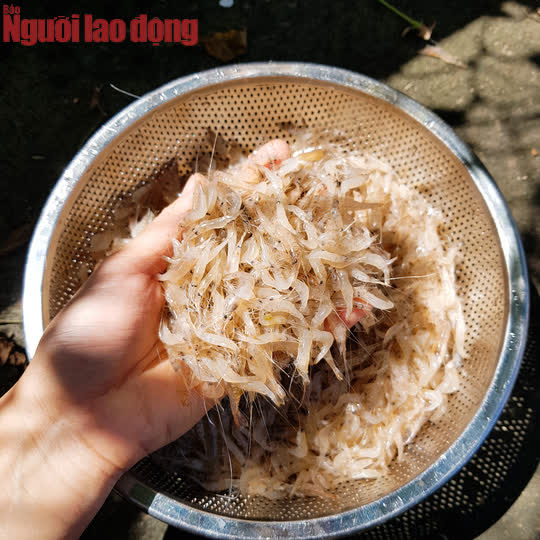 Bí quyết nấu mâm cơm chưa đến 100.000 đồng nhà 4 người ăn của cô giáo - Ảnh 3.