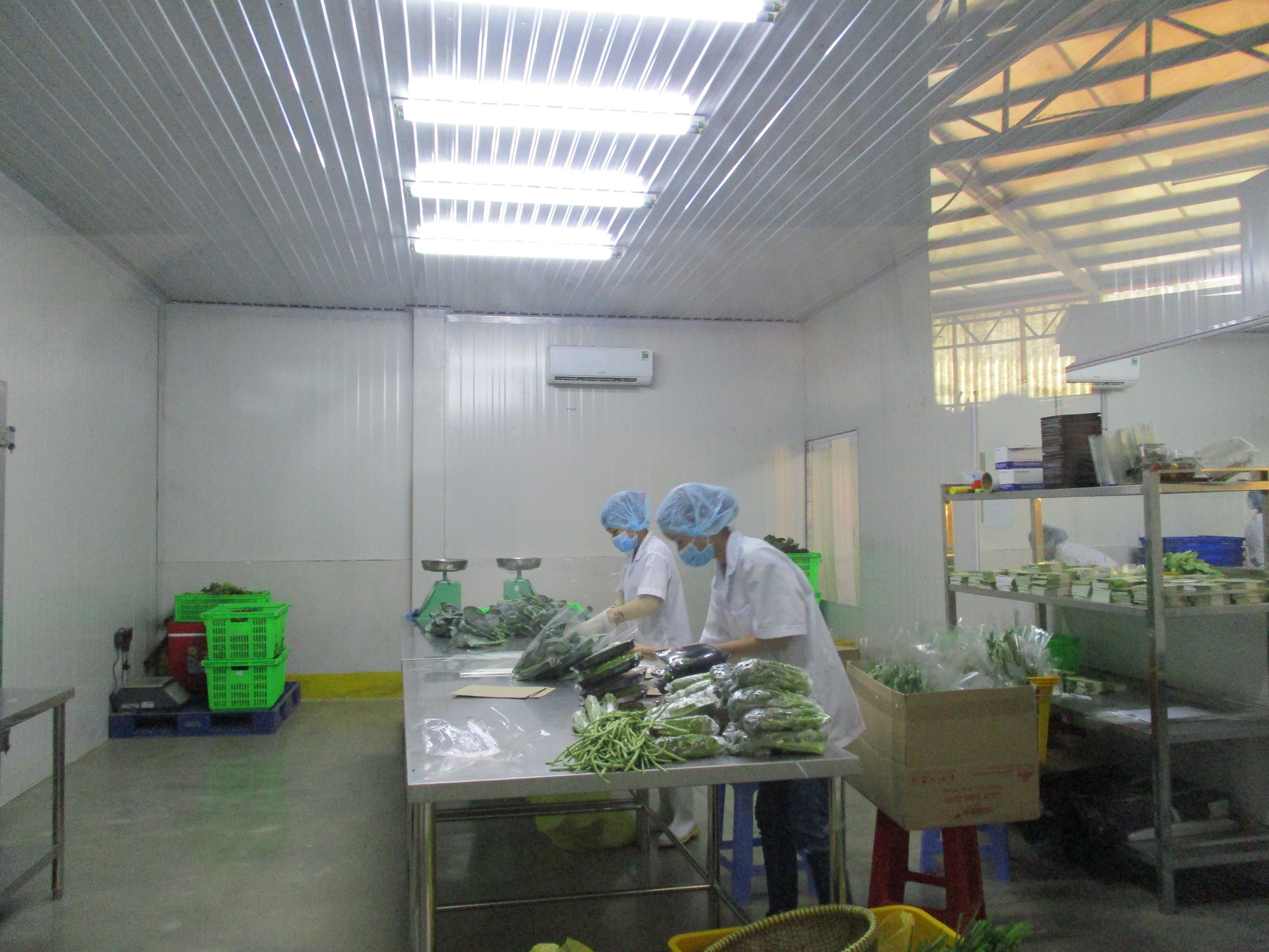 Bắt kịp xu thế tăng trưởng xanh