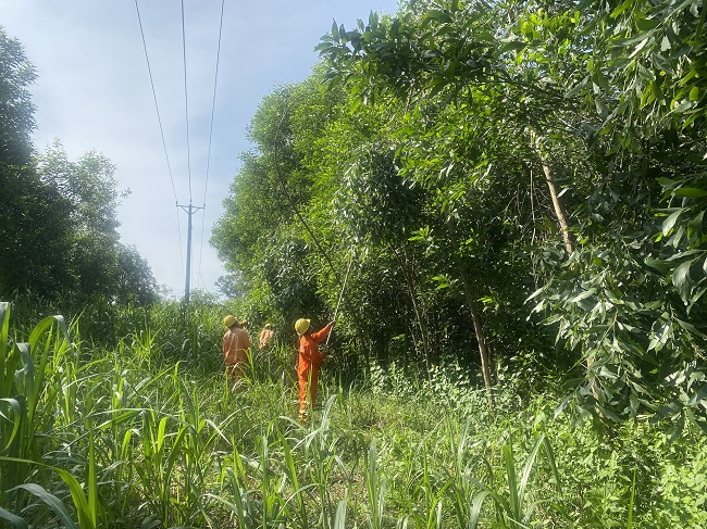 PC Quảng Ngãi: Đảm bảo an toàn điện trong mùa giông sét