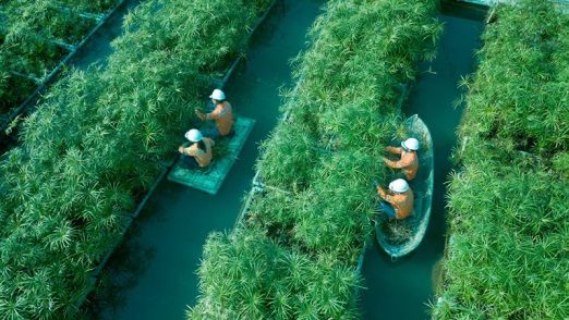 Masan chọn ph&aacute;t triển bền vững l&agrave; chiến lược để đ&oacute;ng g&oacute;p &yacute; nghĩa cho sự ph&aacute;t triển của cộng đồng - Ảnh 3.