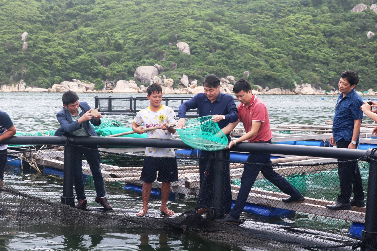 Ph&aacute;t triển kinh tế biển bằng c&ocirc;ng nghệ cao - Ảnh 1.