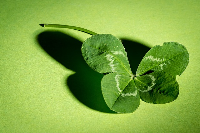 Níu giữ bằng... bùa yêu
