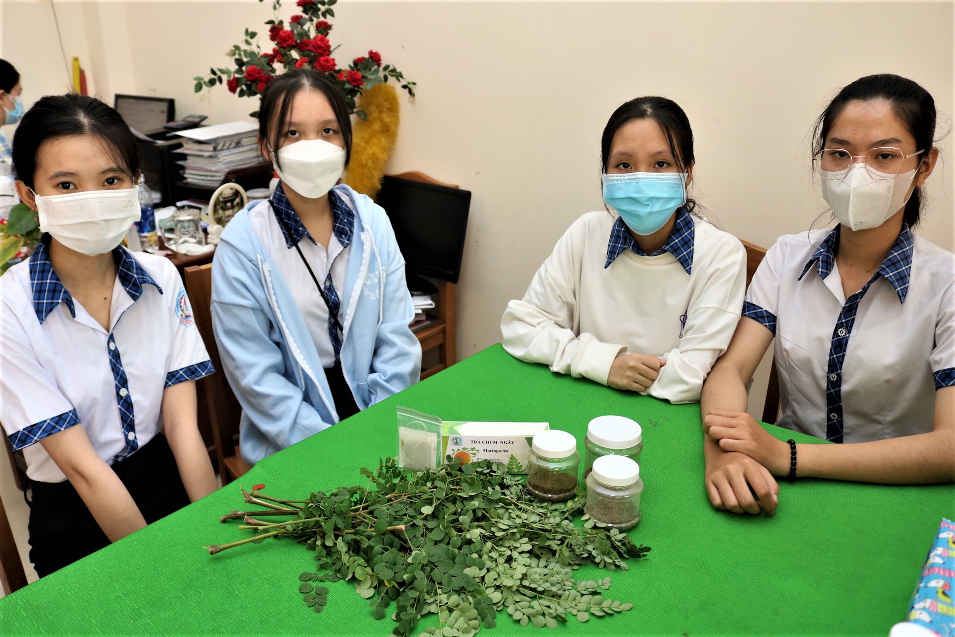 Dùng chùm ngây diệt khuẩn, làm trong nước sông