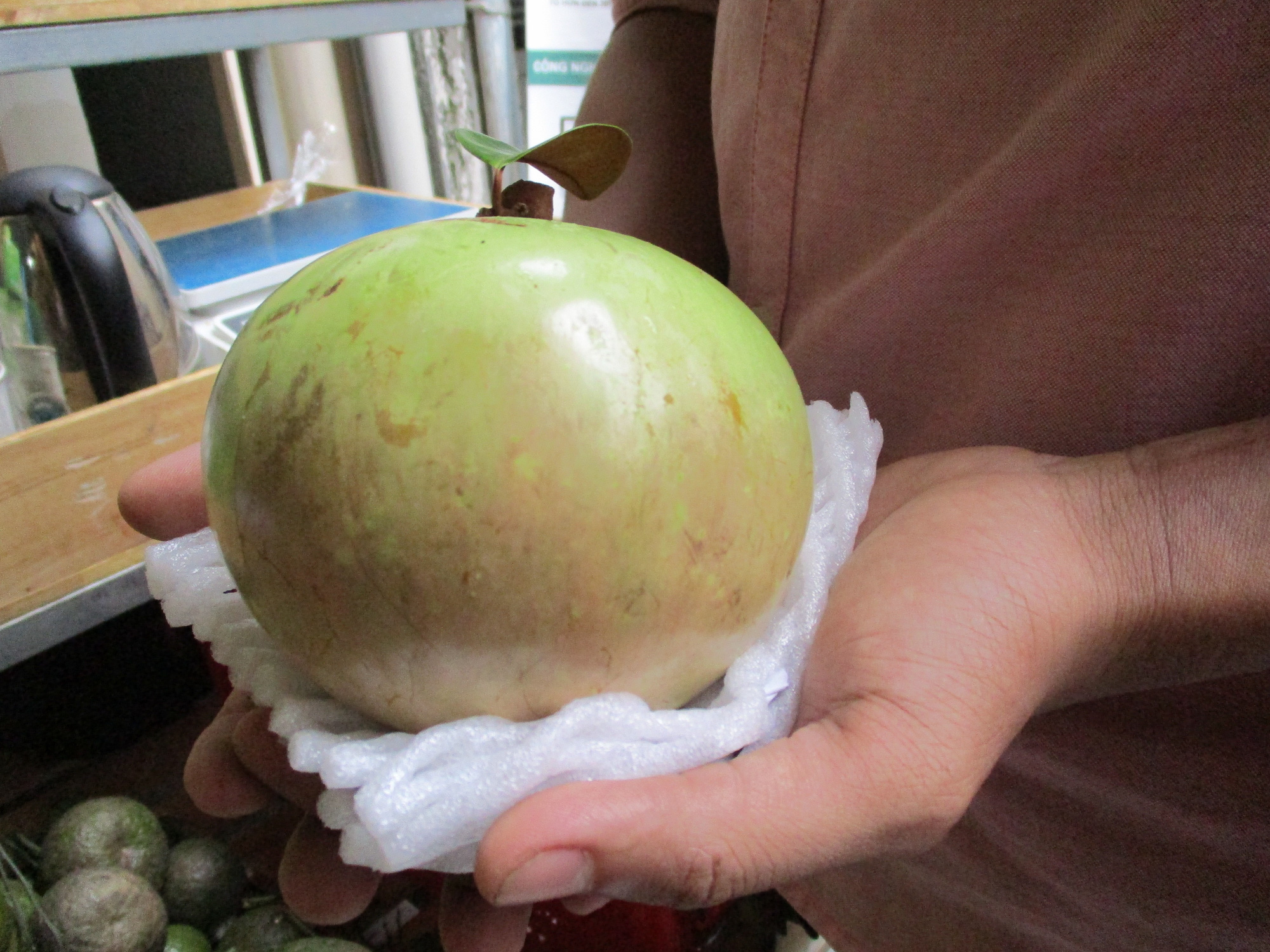 Vú sữa đầu mùa Việt Nam bán ở Mỹ gần 500.000 đồng/kg