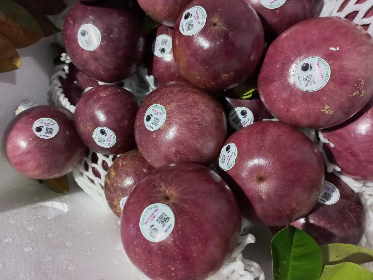 V&uacute; sữa đầu m&ugrave;a Việt Nam b&aacute;n ở Mỹ gần 500.000 đồng/kg - Ảnh 3.